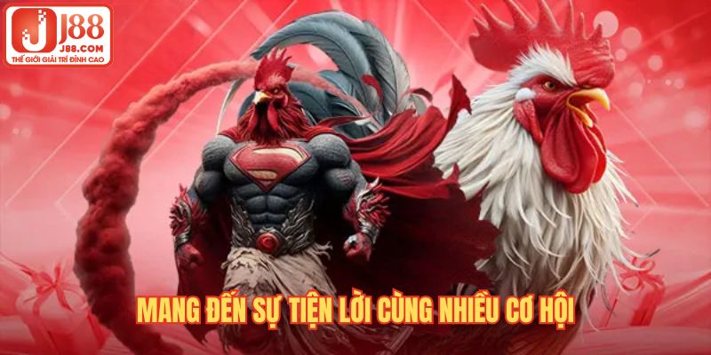 Cách chơi đá gà online mang đến sự tiện lợi cùng nhiều cơ hội nhận thưởng